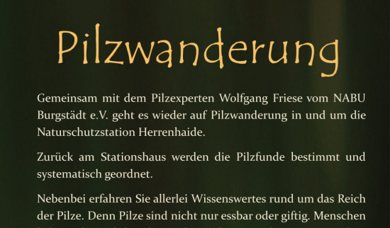 Pilzwanderung am 25.10.25 Foto: Sylvia Malz